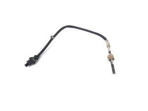 Abgastemperatursensor - A0009058704