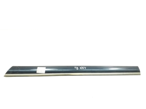   Rear side door strip 