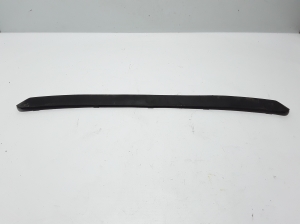  Front bumper trim strip 