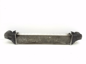 Mercedes Benz CLS-Class 219 (2004–2010) Ladeluftkühler A2115003902 - 2