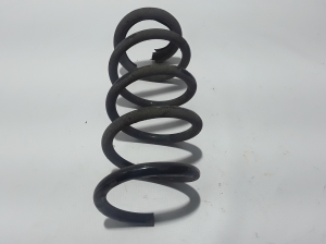 Front spring - 540103085R