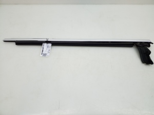 Rear side door outer window molding - A2196900480
