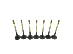  Exhaust valve 