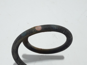 Dacia Lodgy (2012–2026) Rear spring 550204953R - 2