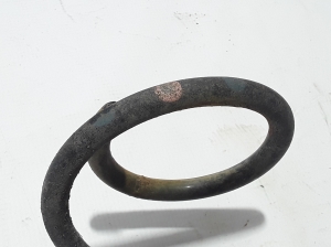 Dacia Lodgy (2012–2026) Rear spring 550204953R - 3