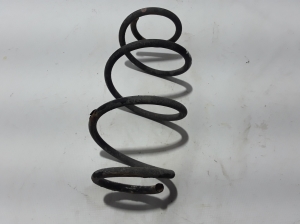 Tagumine vedru - 550204953R