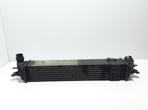 RENAULT Laguna III (2007–2015) Vahejahuti radiaator 144960001R - 3