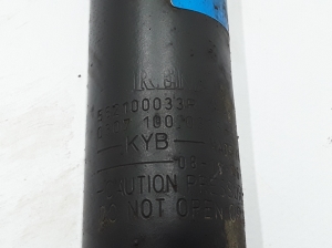 RENAULT Laguna III (2007–2015) Stoßdämpfer hinten 562100033R - 2