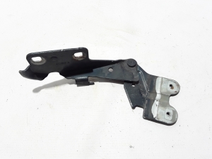 RENAULT Vel Satis (2002–2009) Hood hinge 7701206963 - 2