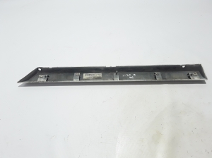  Rear side door strip 