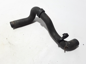   Wasserschlauch Kühler  - 215014119R 