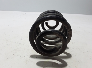 RENAULT Thalia I (2002–2008) Rear spring 8200844169 - 2