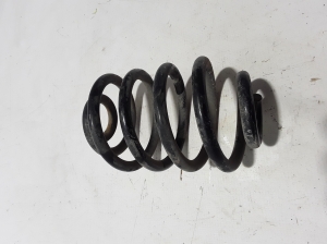 RENAULT Thalia I (2002–2008) Rear spring 8200844169 - 3