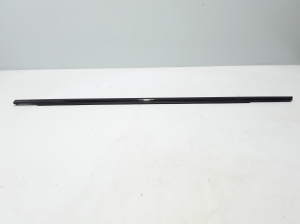 Rear side door outer window molding - 31848055