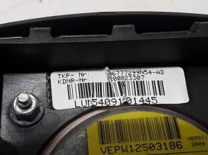 Dacia Sandero (2008–2012) Fahrerairbag 8200823307 - 2