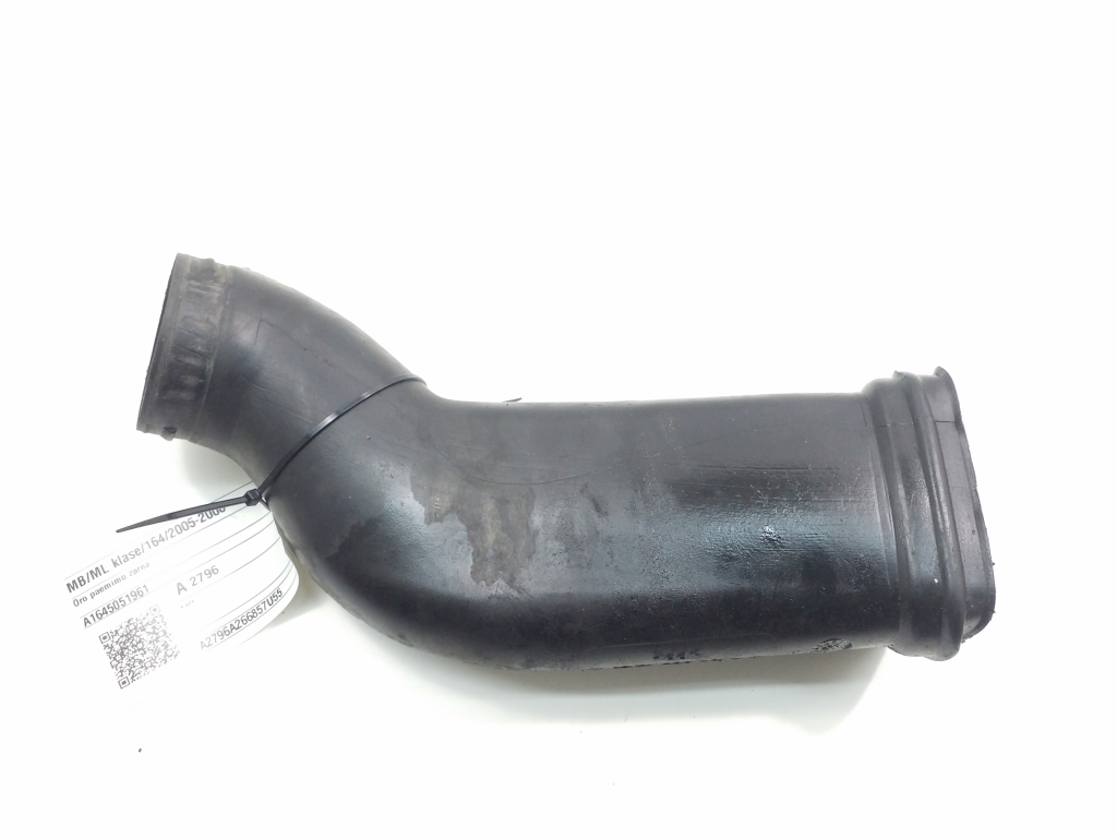 MERCEDES-BENZ M-Class W164 (2005-2011) Air supply hose pipe A1645051961 20422405