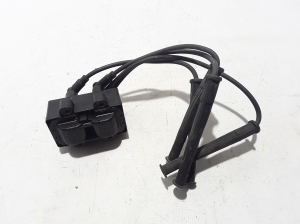 Ignition coil - 224336134R