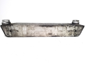 BMW 7 SERIJA E65 (2001–2008) Vahejahuti radiaator 7790846 - 2