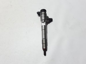   Fuel injector 