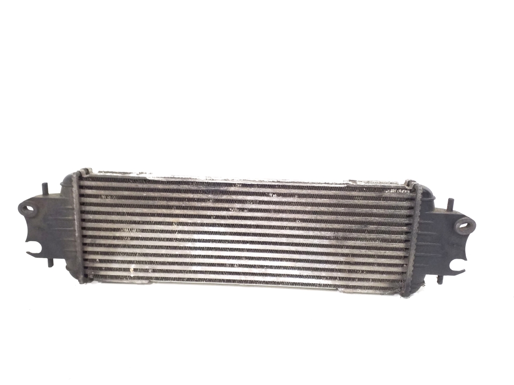 OPEL Vivaro A (2002-2006) Intercooler Radiator 7700312903 21917550