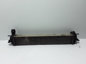 RENAULT Laguna III (2007–2015) Intercooler 144610001N - 3
