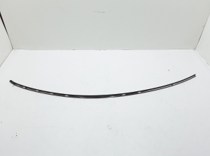  Windscreen strut outer 