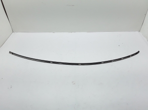  Windscreen strut outer 