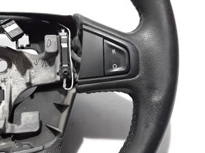 RENAULT Latitude (2010–2017) Rool 484300844R - 2