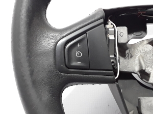 RENAULT Latitude (2010–2017) Rool 484300844R - 4