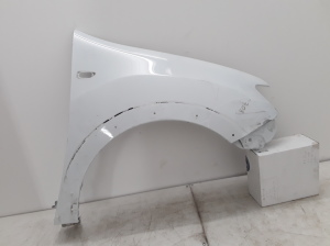 Front fender - 631005111R 
