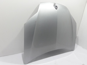   Hood  - 651000021R 
