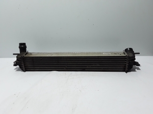 RENAULT Laguna III (2007–2015) Intercooler 144610001N - 3