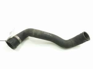 Mercedes Benz CL-Class 215 (1999–2006) Jahutusradiaatori voolik A2205010482 - 3