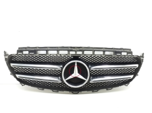 Front grille and its parts