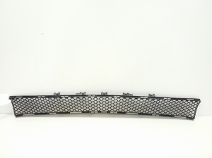   Front bumper lower grille 