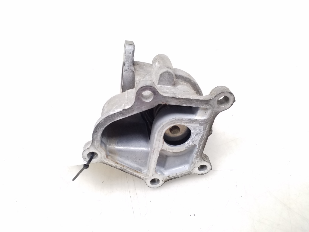 NISSAN X-Trail T30 (2001-2007) Termostatas 25085214