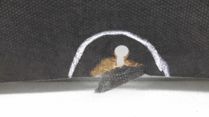 TOYOTA Previa (2000–2006) Hood sound insulation 5334128040 - 3