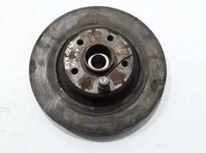 Rear brake disc - 8660001816