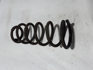 RENAULT Alaskan (2017–2026) Rear spring 550205JT7A - 3