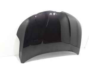 Hood - 651003848R