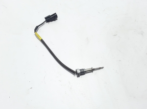 RENAULT Trafic III (2014–2022) Heitgaasi temperatuuriandur 226404039R - 2