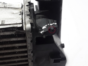 RENAULT Megane IV (2016–2022) Vahejahuti radiaator 144614EA1A - 3