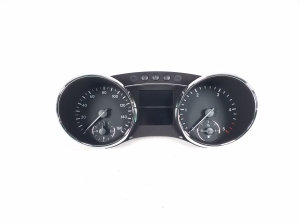 Instrument cluster - A2519002500