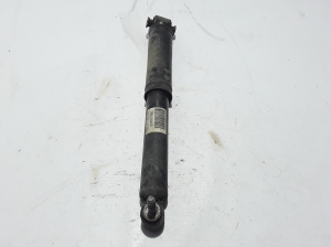   Rear shock absorber 