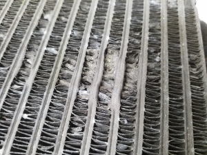 NISSAN Murano Z50 (2003–2017) Ātrumkārbas radiators - 2