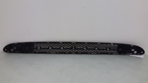 Front bumper lower grille - A2038851323
