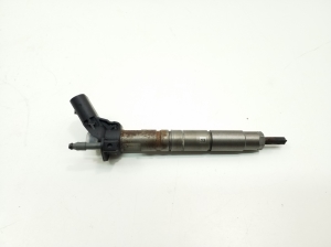   Fuel injector 