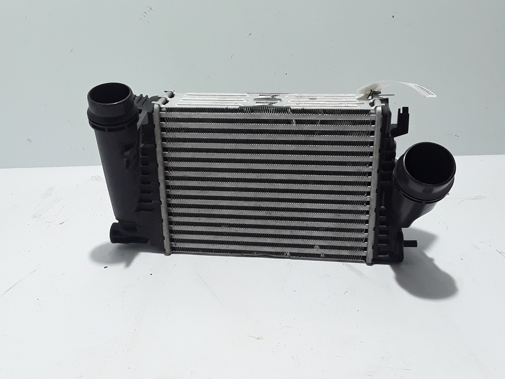 RENAULT Talisman 1 generation (2012-2024) Starpdzesētāja/interkūlera radiators 144963358R 22409082