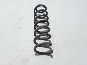   Rear spring 