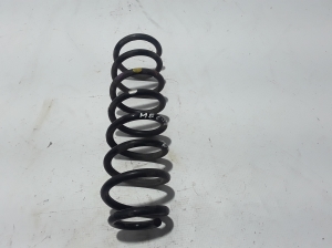   Rear spring 